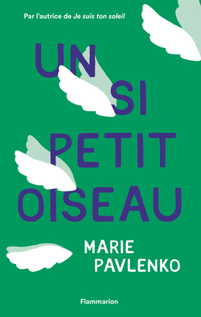 0408_un_si_petit_oiseau.jpg