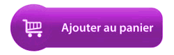 ajouter_panier (4K)